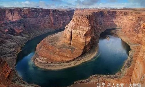 枇杷的药用价值和功效-枇杷的药用价值是什么网 | 枇杷的药用价值是什么?,枇杷的功效与作用禁忌人群