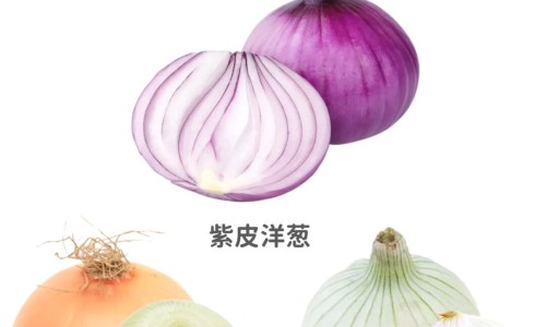 枇杷的药用价值和功效-枇杷的药用价值是什么网 | 枇杷的药用价值是什么?,枇杷的功效与作用禁忌人群